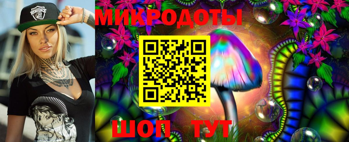 Псилоцибиновые грибы Psilocybe  цены наркотик  Мончегорск  Вход с VPN 
